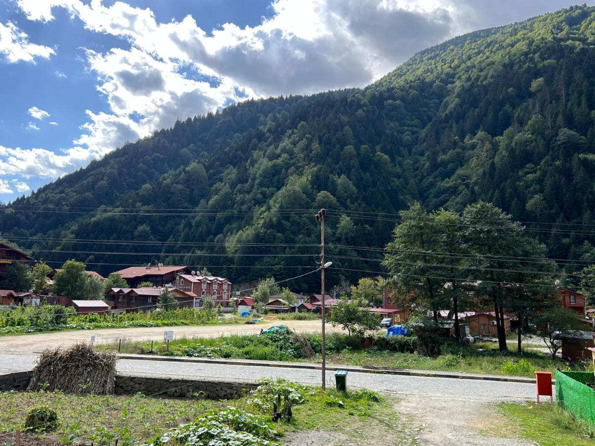 Karadeniz Apart Otel Uzungöl Eksteriør billede