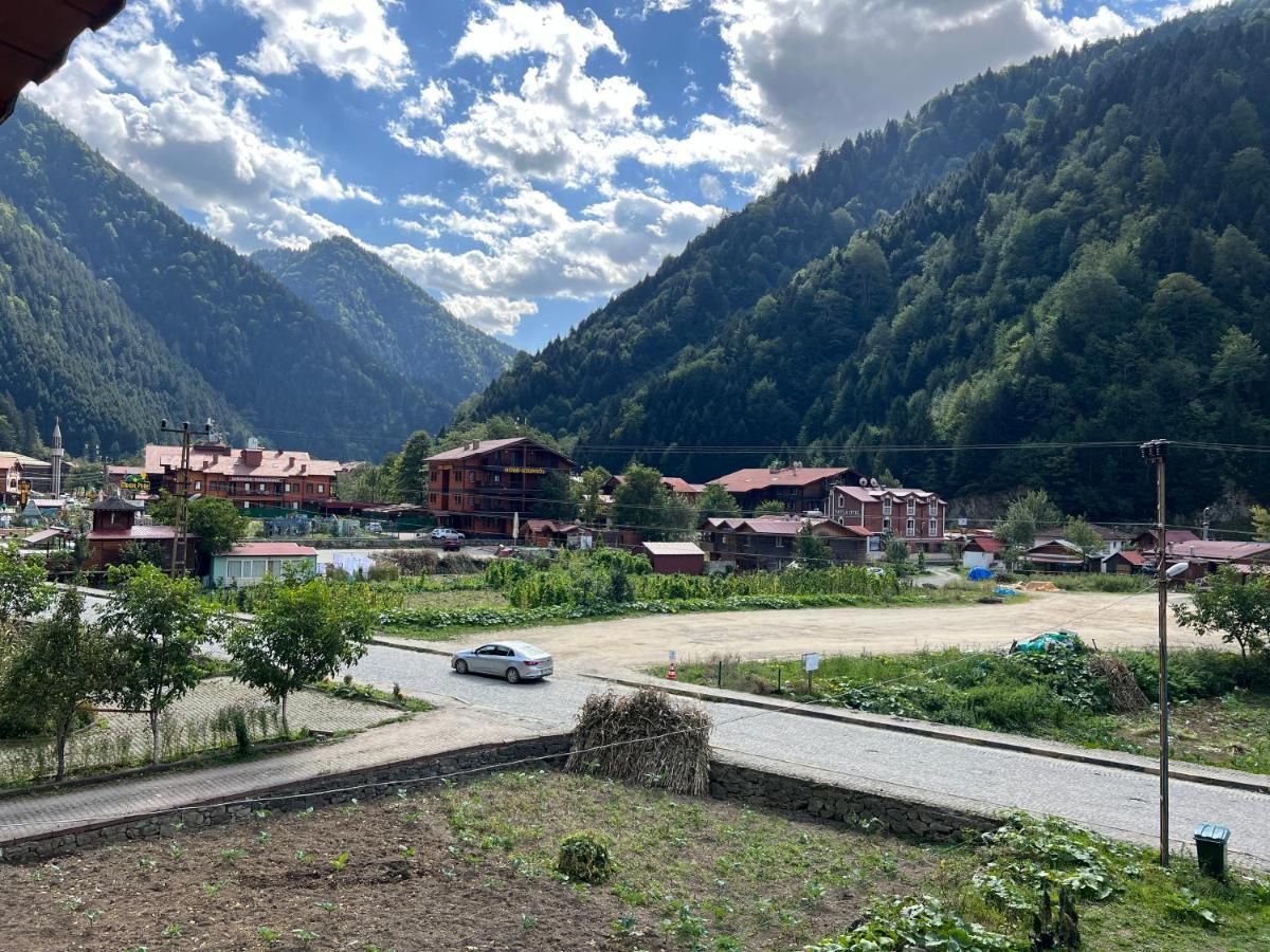 Karadeniz Apart Otel Uzungöl Eksteriør billede